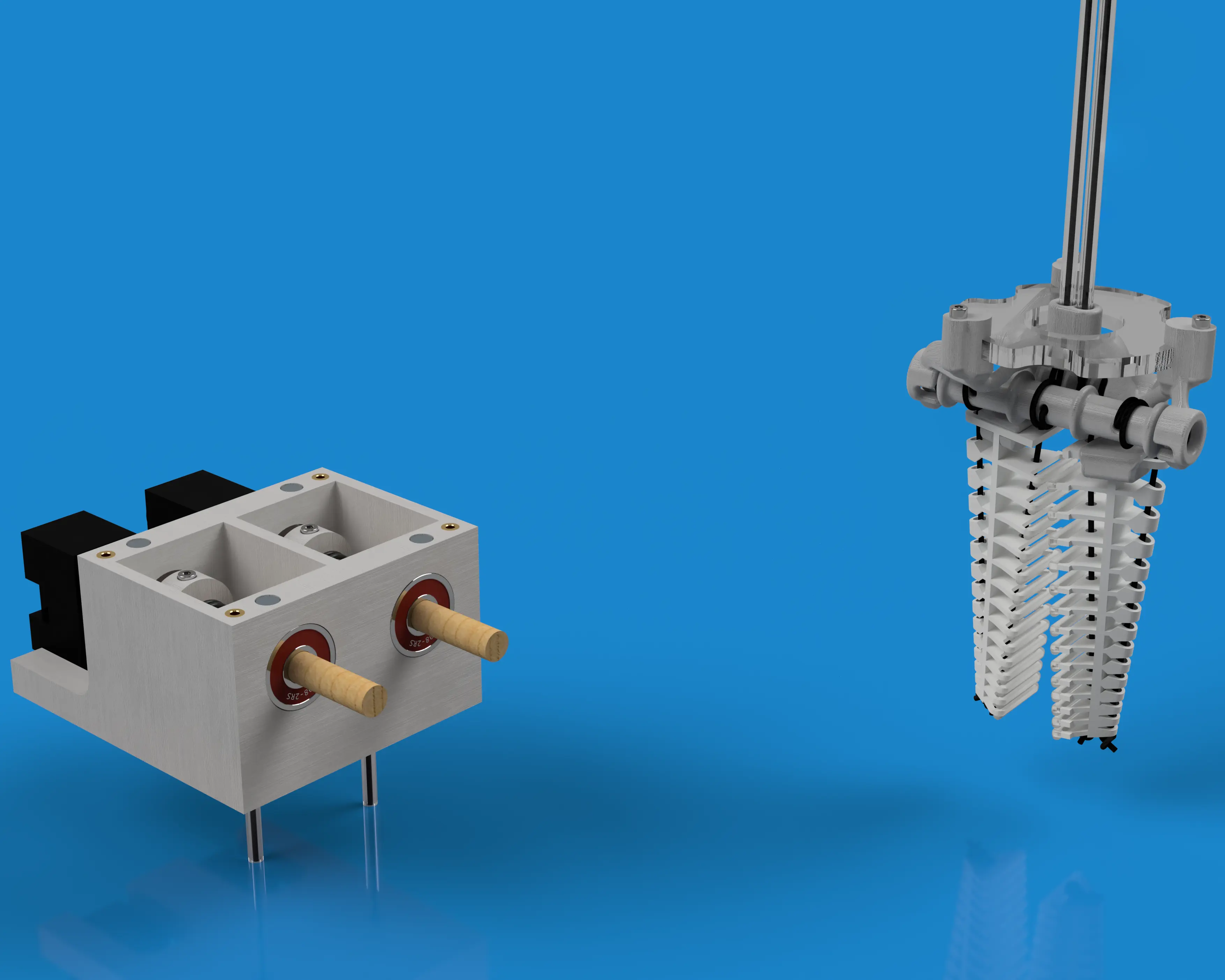 Project image